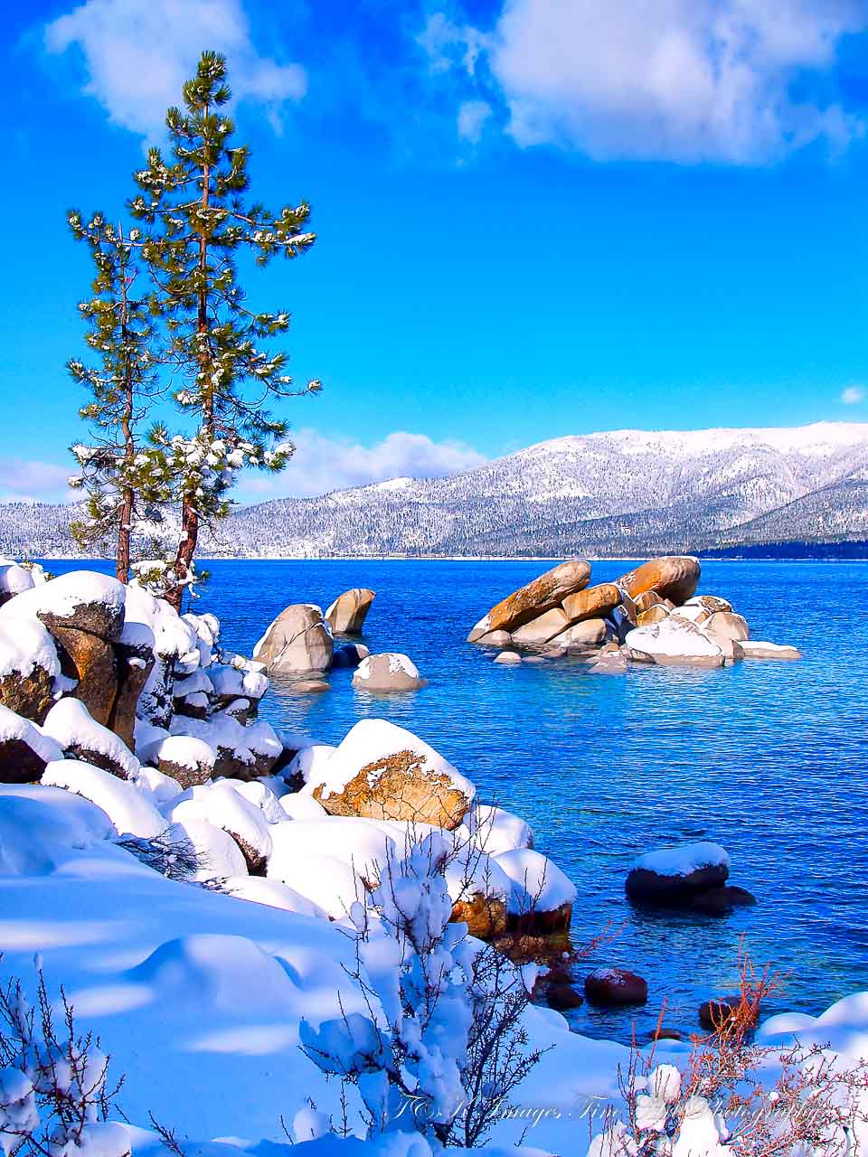 Blue and White - Lake Tahoe California