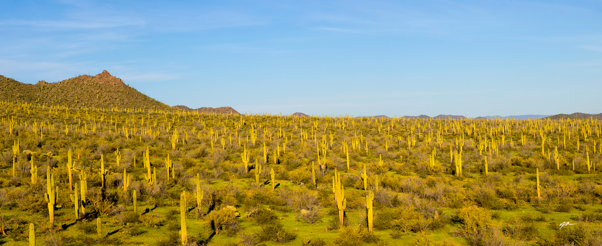 1239-desert-view-robson-arizona-mining-world.jpg