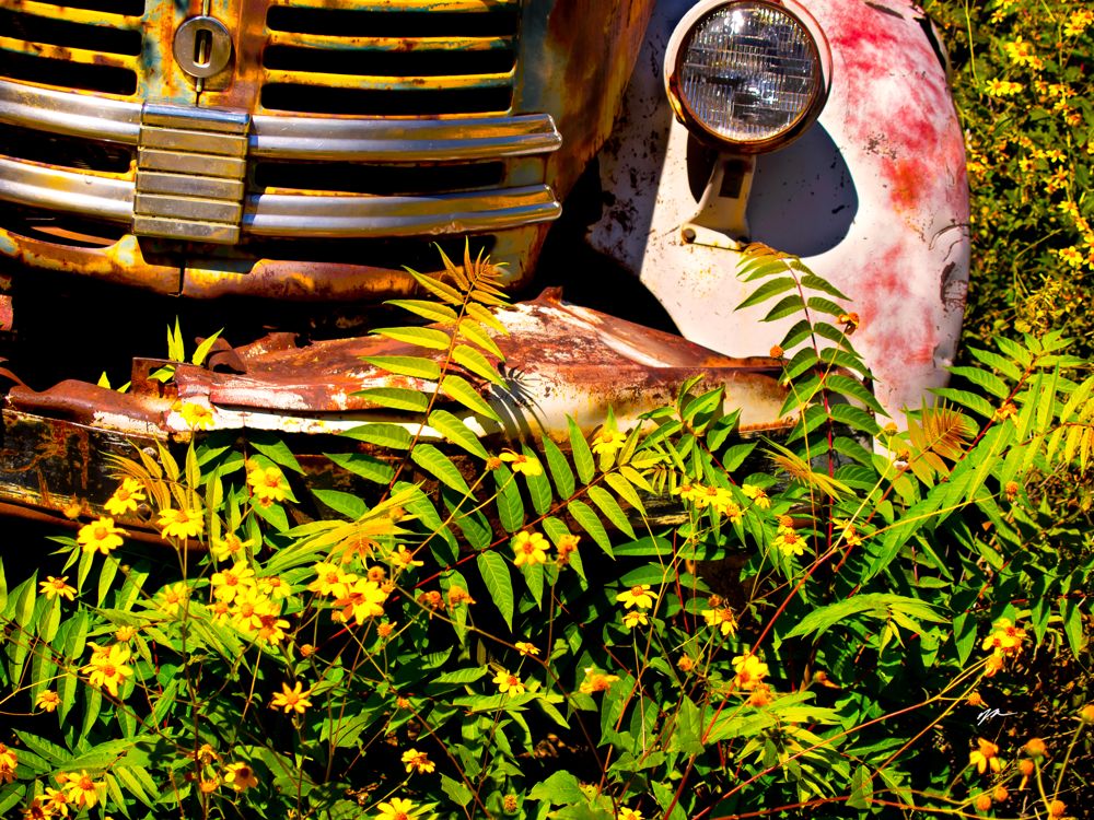 1950s REO Comet in flowers