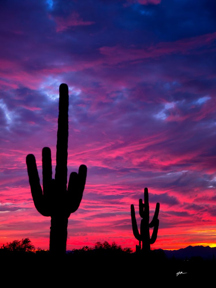 1322 Saguaro Sunset - White Tank Mountains - Arizona