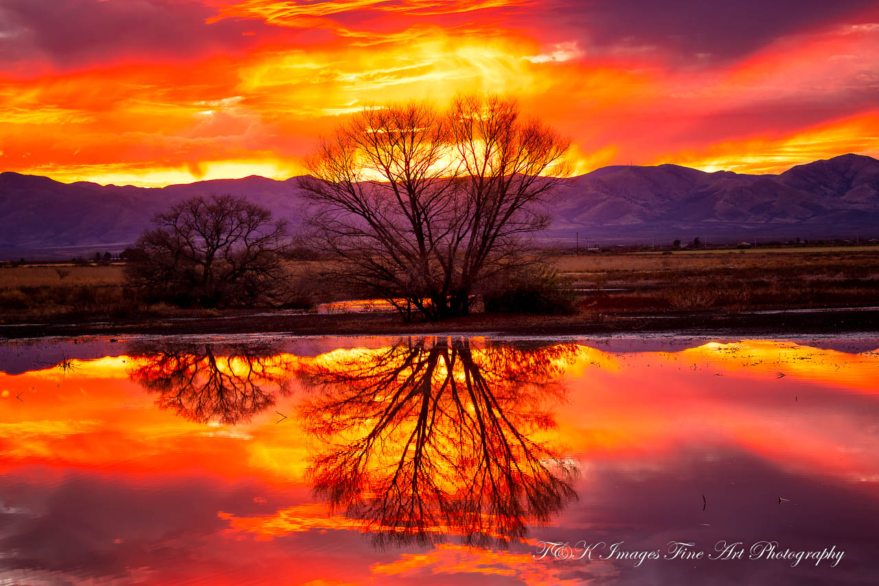 Reflections of Nature Scenes are Stunning and Engaging - T&K Images - Fine  Art Photography