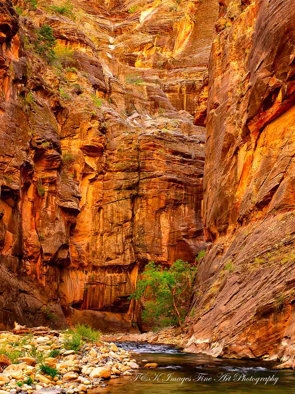 The Narrows  Zion National Park - #1
