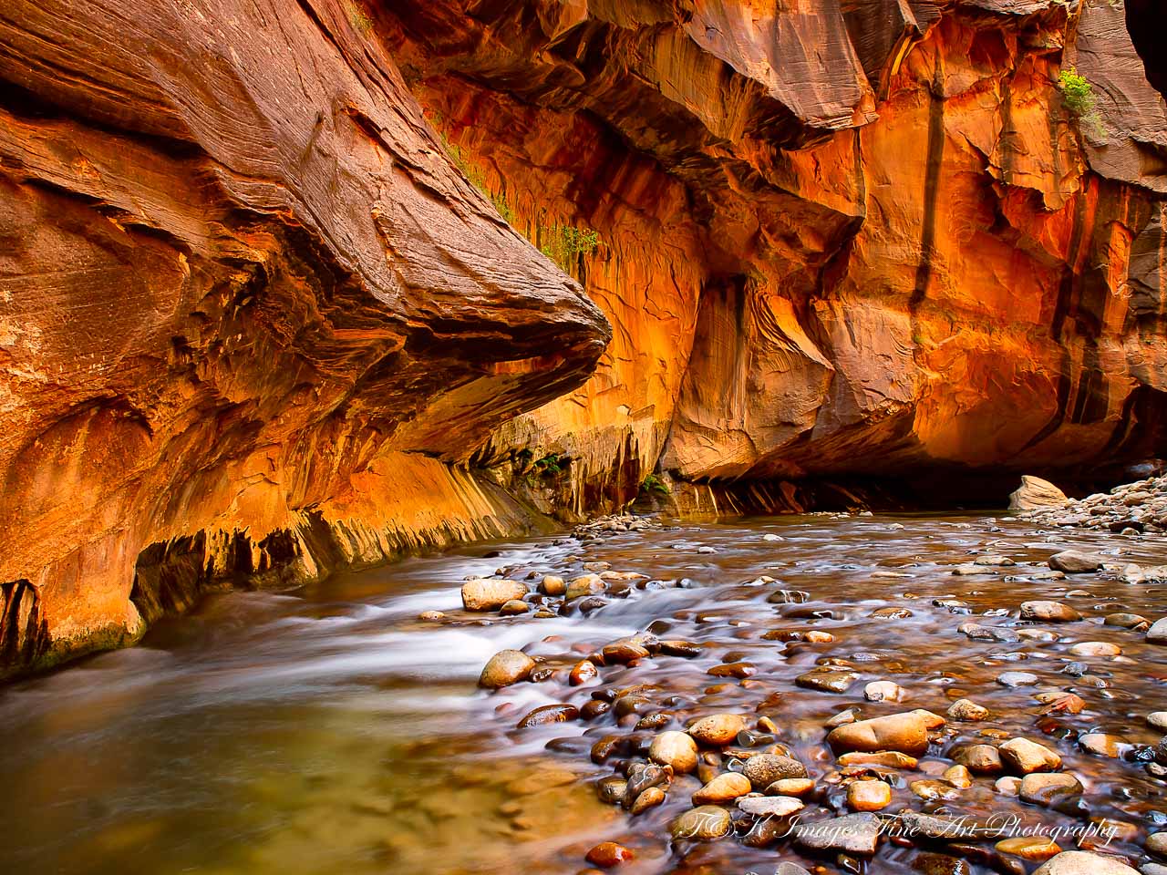 The Narrows Zion National Park 2